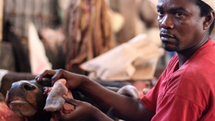 Ebola u domaćim životinjama?