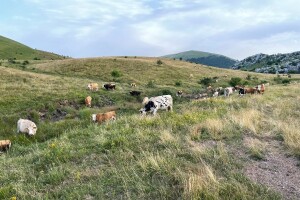 Što donosi Nacrt prijedloga Programa razvoja brdsko-planinskih područja?