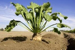Novac na račun "sjeo" prije ugovorenog roka