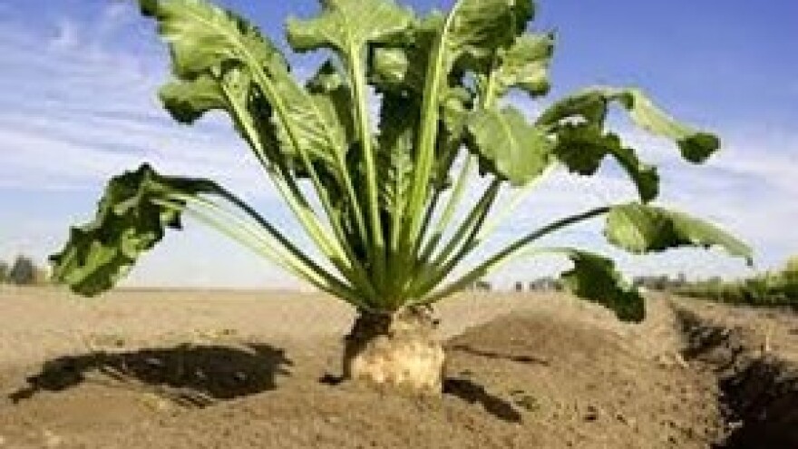 Novac na račun "sjeo" prije ugovorenog roka