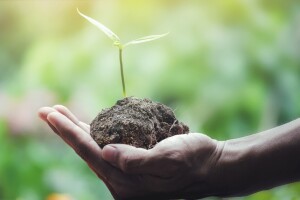 Sudjelujte na 1. Hrvatskim danima biodinamike s temom razvoja eko-bio agrikulture