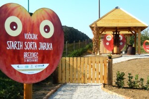 Zahvaljujući LAG-u Međimurski doli i bregi nadograđuje se i voćnjak starih sorti jabuka