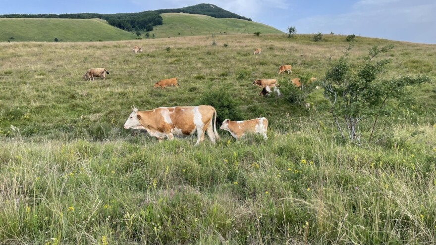Prijavili ste se za Covid mjere? APPRRR je objavila odluke o potpori