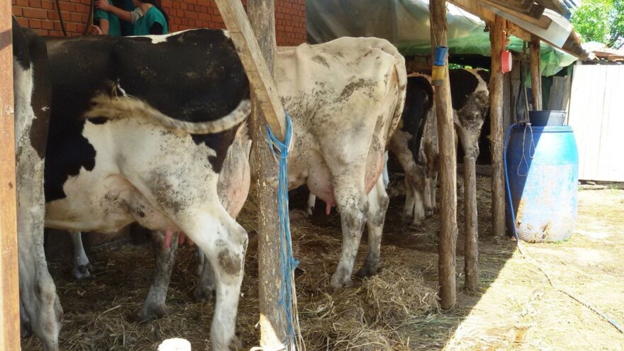 Edem vimena - Posledice i preventiva