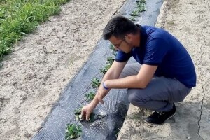 Edin Agić nakon prakse u poljoprivrednoj kompaniji dobio posao u struci