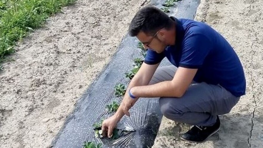 Edin Agić nakon prakse u poljoprivrednoj kompaniji dobio posao u struci