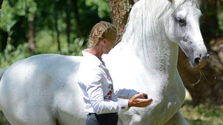 Šaptačica konjima Edit Kappel