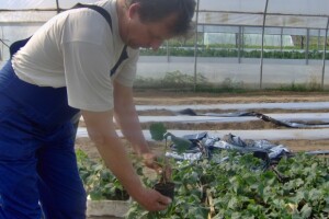 Besplatno se educirajte o izradi ruralnih projekata!