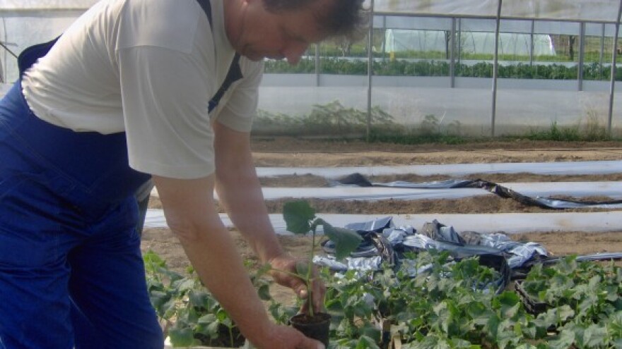 Besplatno se educirajte o izradi ruralnih projekata!