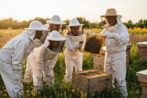 Edukacije za pčelare u Virovitici!