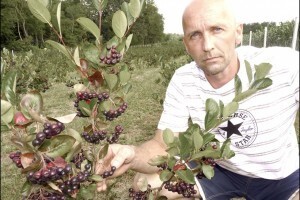 Edvin Lesjak, prvi uzgajivač aronije u Međimurju