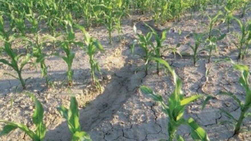 Što inspekcija provjerava kod proizvođača?