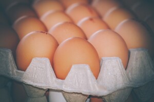 Izvoz jaja u EU - direktna korist za cijelu prehrambenu industriju