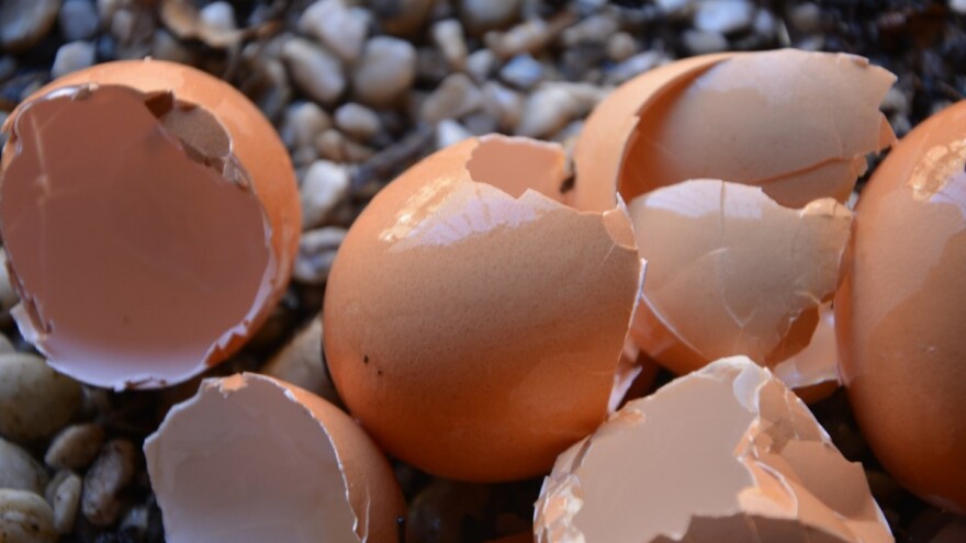 Ljuske jaja - pomoć paradajzu, paprici i patlidžanu