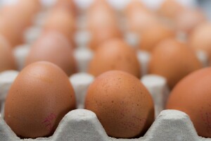 Bh jaja: Odobren izvoz u Europsku uniju