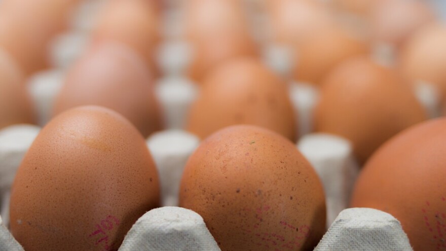 Bh jaja: Odobren izvoz u Europsku uniju