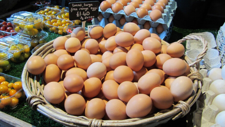 Nagli rast otkupa kokošjih jaja s OPG-ova