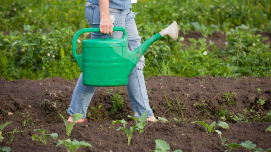 EGSO: ZP mora jačati ulogu žena u poljoprivredi