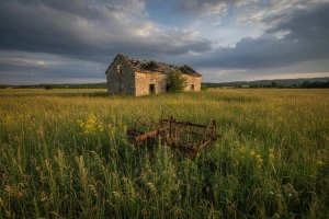 Egzodus mladih sa sela poprima epske razmjere