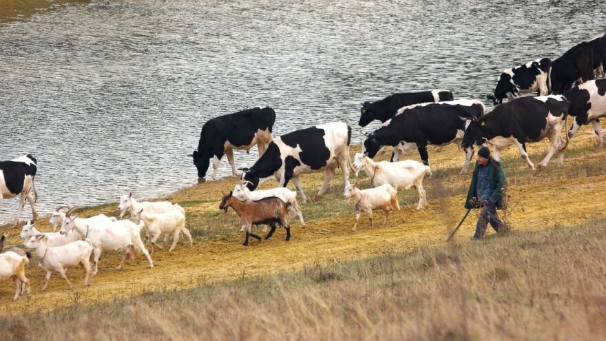 Odgođa se usvajanje nove uredbe za eko proizvodnju? EK pokreće javno savjetovanje