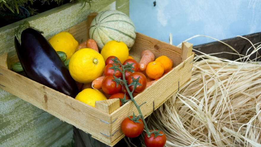 Mlađa generacija preferira ekološku ambalažu
