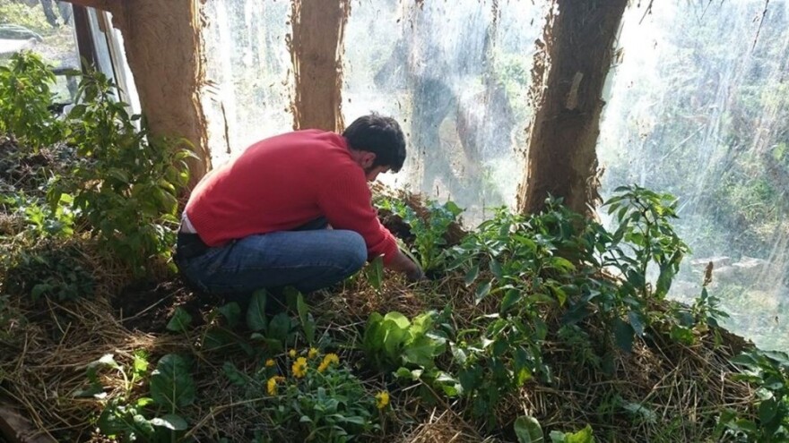 Potpora malim poljoprivrednicima početnicima