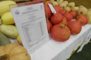HSEP: Neuređeno tržište i obmane kupaca bacaju ljagu na prave eko proizvođače
