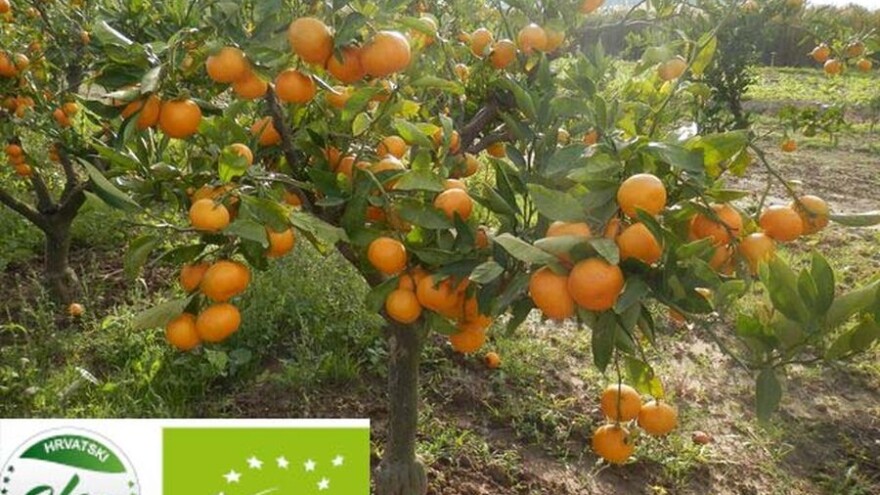 Zašto biram eko, radionica Hrvatskog saveza udruga ekoloških proizvođača