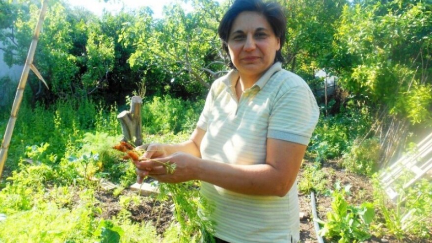 Herbicid im spalio vrtove i voćnjake?