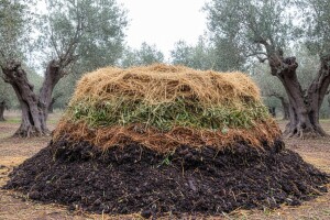 Eko maslinarski kompost