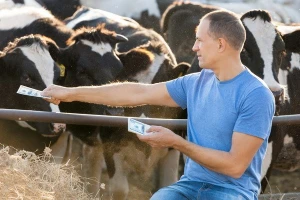Zašto je tako teško proizvesti organsko meso?