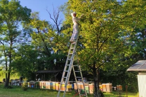 Poljoprivreda mi donosi mir, poručuje ekološki proizvođač Dario Frangen