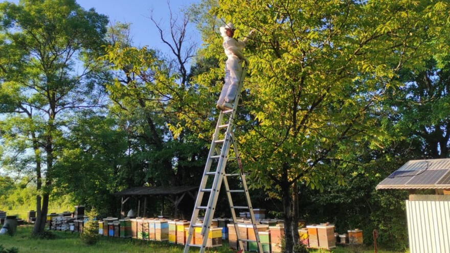 Poljoprivreda mi donosi mir, poručuje ekološki proizvođač Dario Frangen