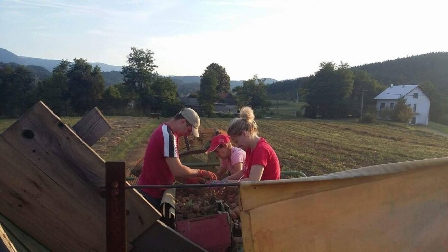 Obitelj Rendulić odlučila se i za uzgoj paski - eksperiment im je uspio!