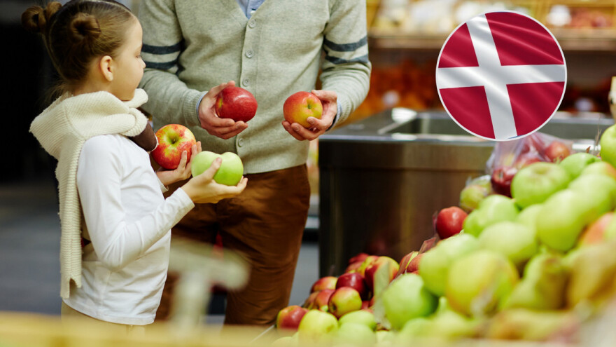 Danska rekorder u eko proizvodnji i spremna za globalni uspjeh