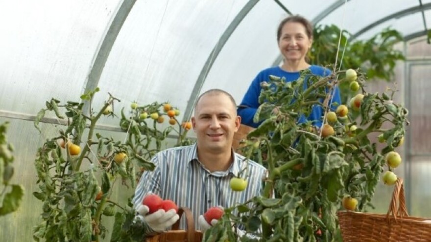 Uvoz i prodaja organskih proizvoda
