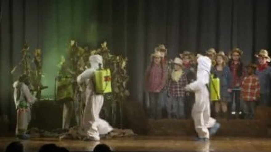 Kako osvijestiti potrebu za eko uzgojem?