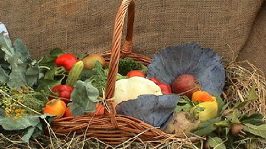 Ekoproizvođači lakše do tržišta