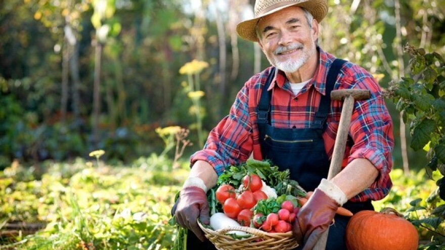 Eko proizvođači - čuvari tradicije!