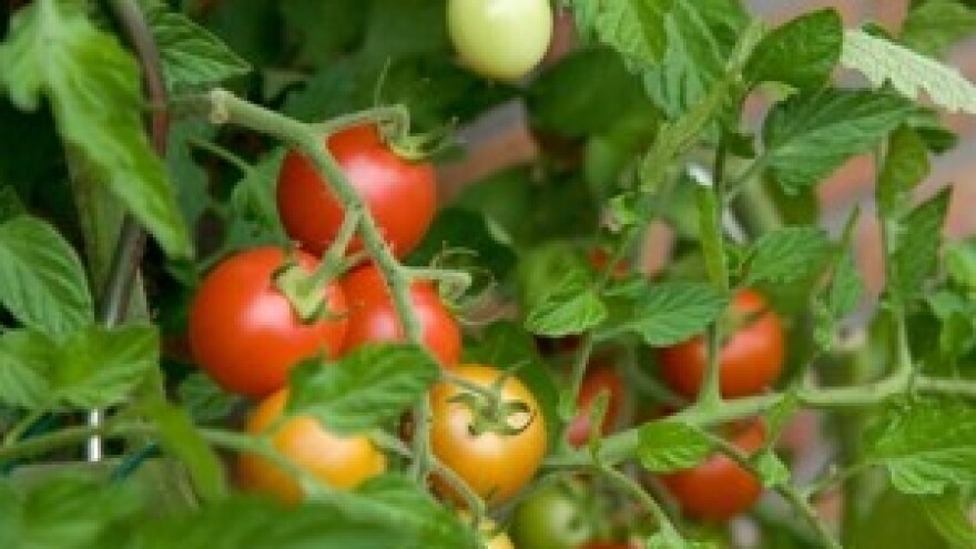 Dr. Šamota: Pojedinci žele preuzeti Biopine zasluge