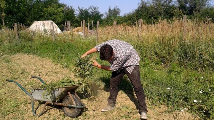 EU i Čile dogovorili razmjenu eko proizvoda!