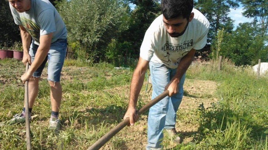 Drugačijom poljoprivredom protiv kolapsa