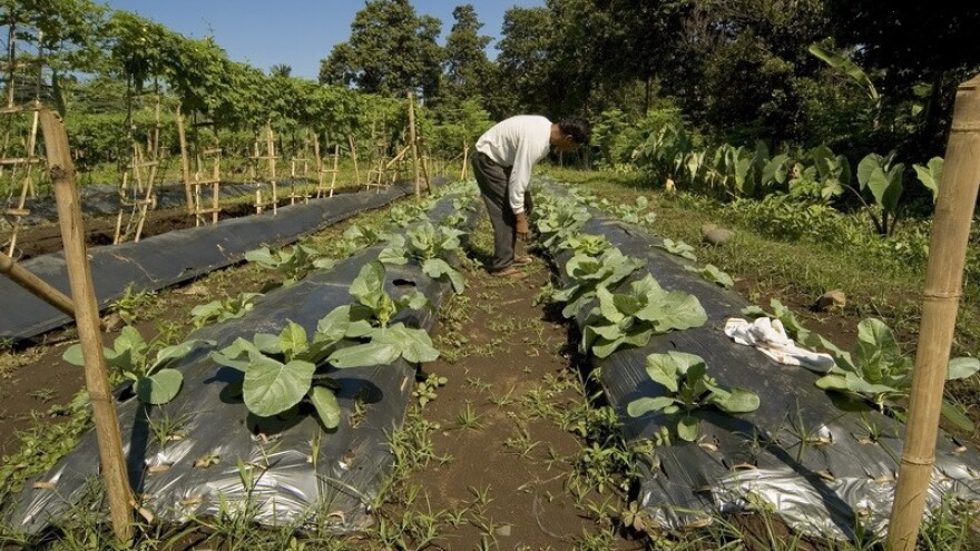 Što jamči logotip EU za ekološke proizvode?