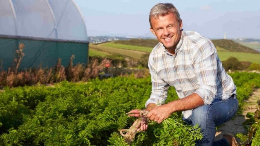 Organska hrana izvozni je adut Srbije