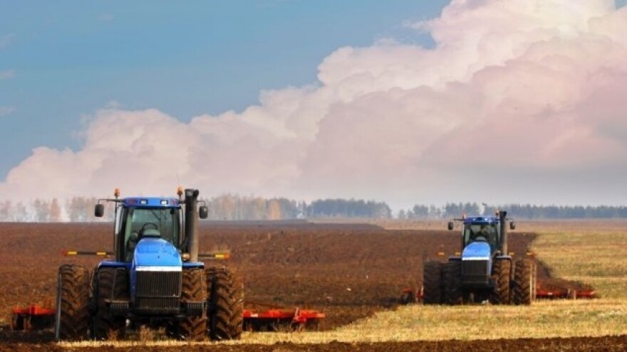 Ekološka proizvodnja pšenice