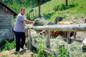 Pravila ekološkog uzgoja stoke