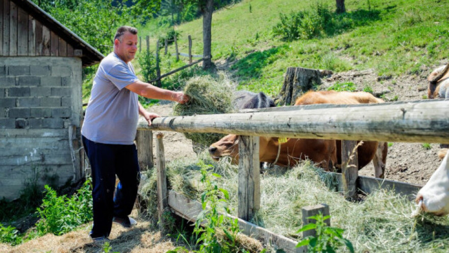 Pravila ekološkog uzgoja stoke