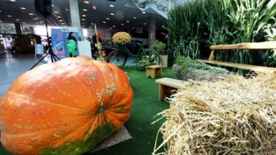 "Eko svijet" na Novosadskom sajmu