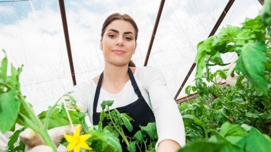 Kako potaknuti potrošnju eko hrane?