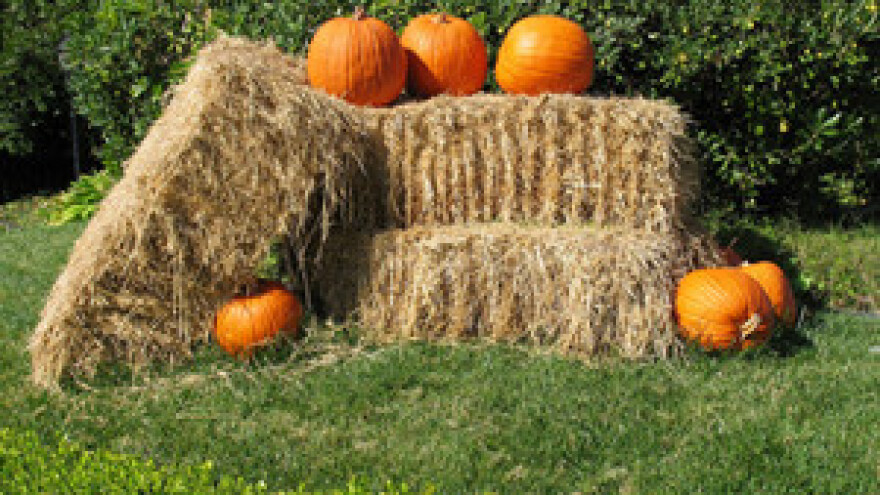 Turizam ojačava eko proizvodnju